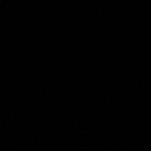 Meet your Posher, Hayden